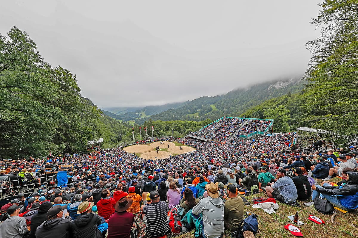  WSBruenig-Arena_BLO.jpg 