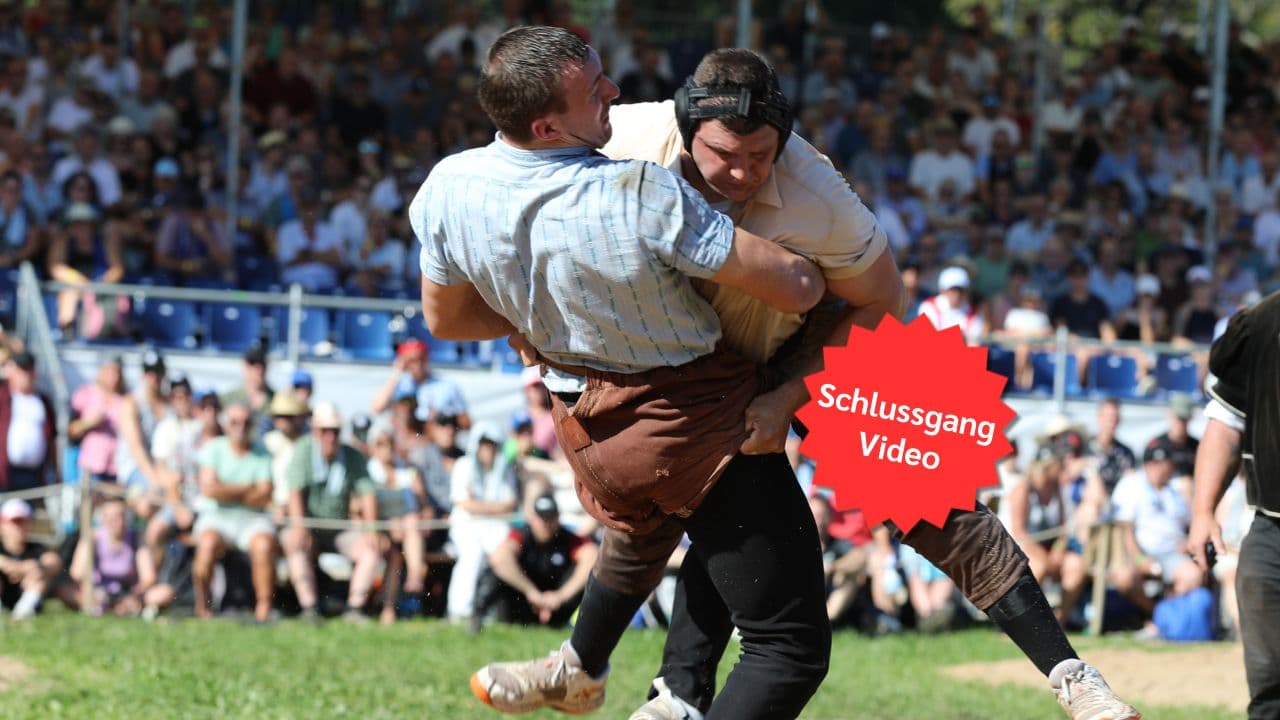  Header NWS.jpg 