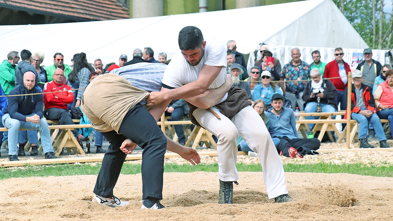 Hallau 2025 Schaffhauser Frühjahrsschwinget