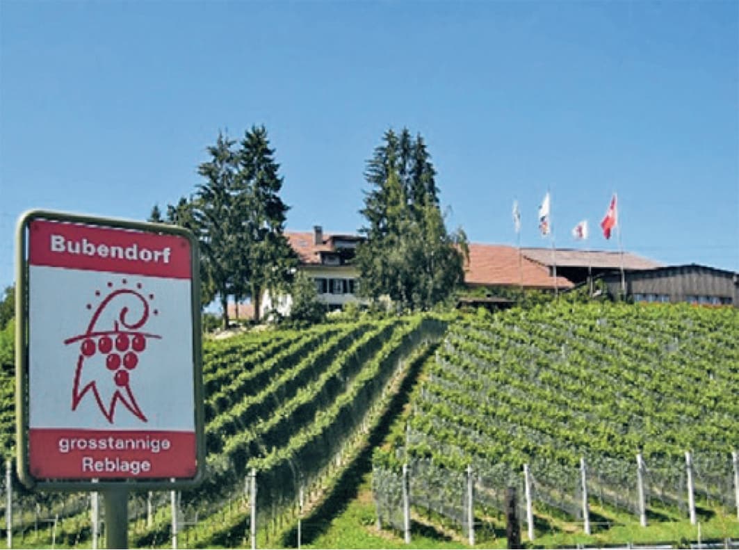 Schwingerkameradentreffen