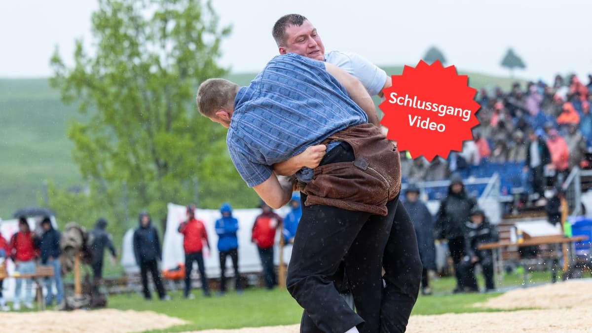  Header Zuger.jpg 