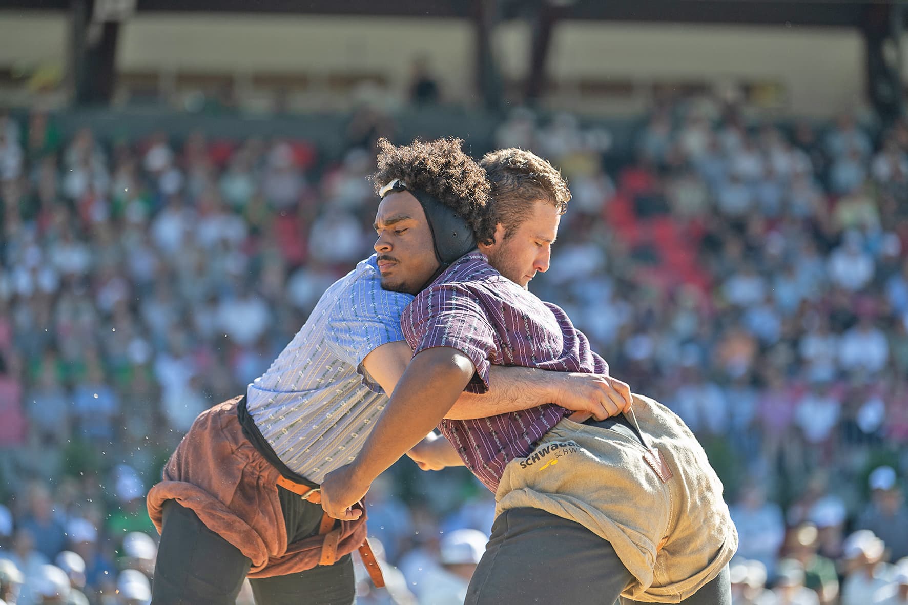 Lüscher Orlik NOS 2025