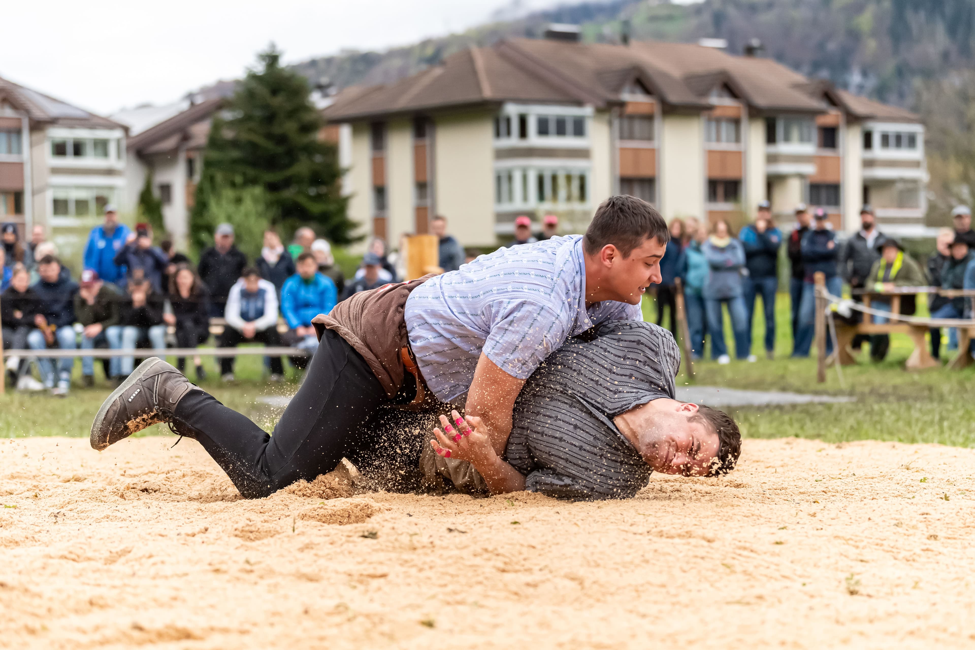 ROSV Schlegel Räbsamen